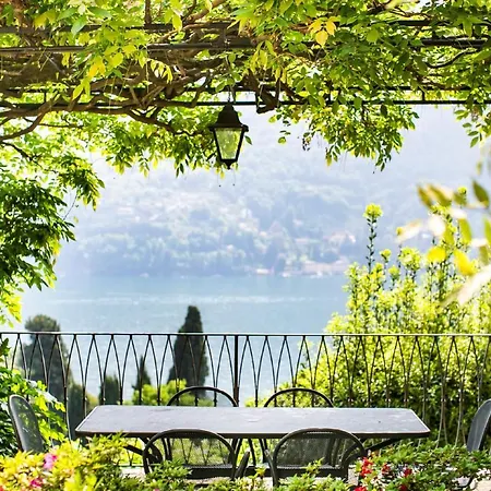 فيلة Fioravante