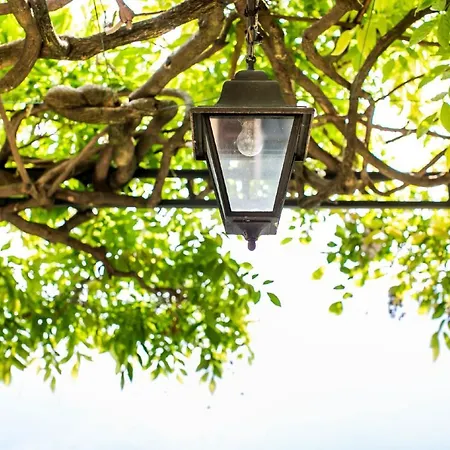 Fioravante * מולטראזיו