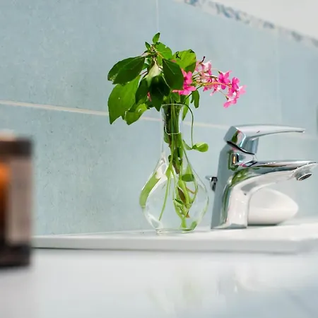 Fioravante 莫尔特拉西奥