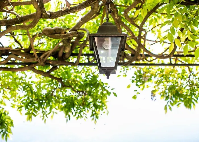 Fioravante * Moltrasio